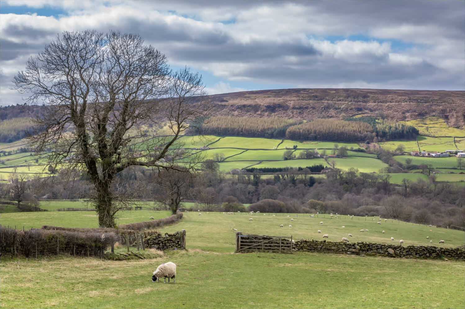 Chandeliers Drama Group - Maidstone, Kent - Production Poster